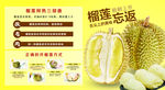 榴莲海报吊旗
