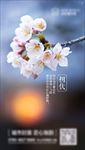 节气微信 初伏