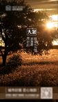 节气微信  大暑