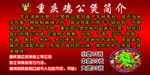 鸡公煲