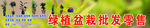 绿植盆栽