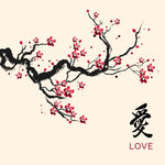 樱花的花瓣