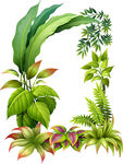 植物花卉矢量图