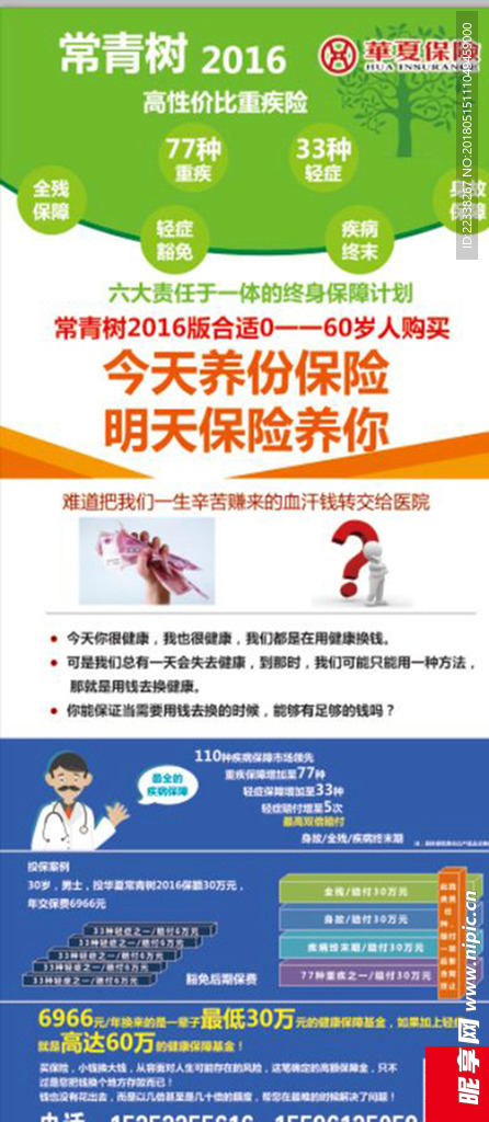 常青树2016
