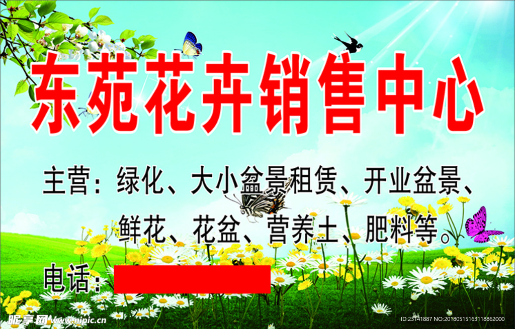 花卉 雏菊  燕子 蓝天白云