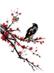 梅花鸟