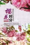 樱花节海报背景展板广告图片下载