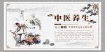 中医养生养生海报中药养生中国文