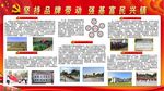 坚持品牌带动、强基富民兴镇