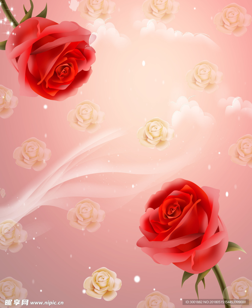 玫瑰花