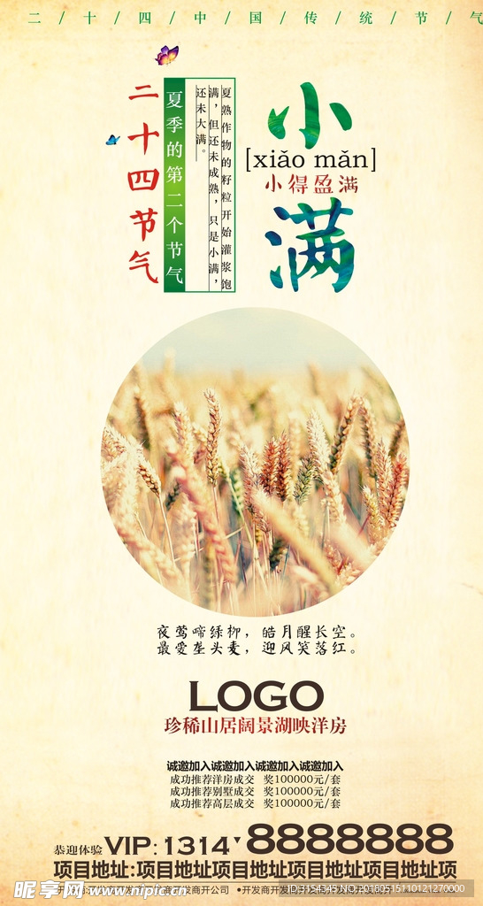 小满   24节气海报 麦子