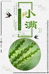 小满