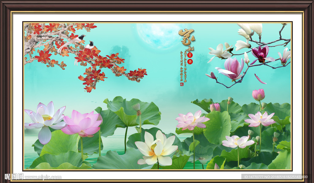 荷花图