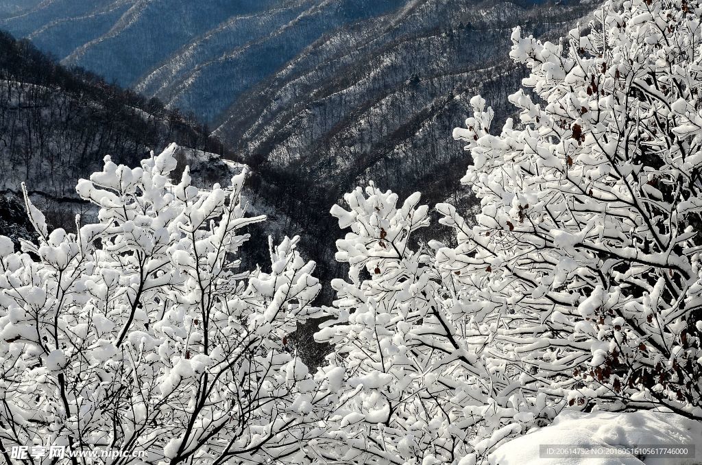 冬日里的大山风光