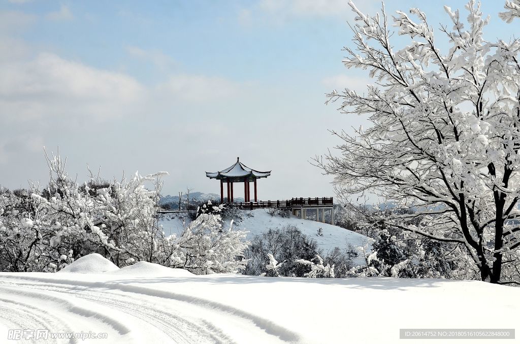 冬日里的户外风景