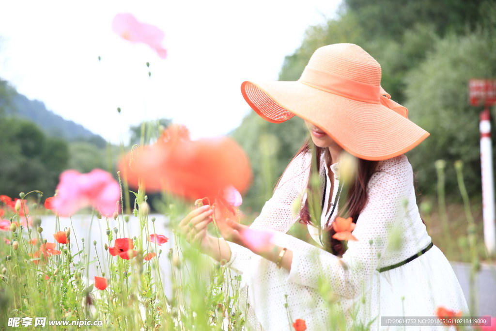 观赏花朵