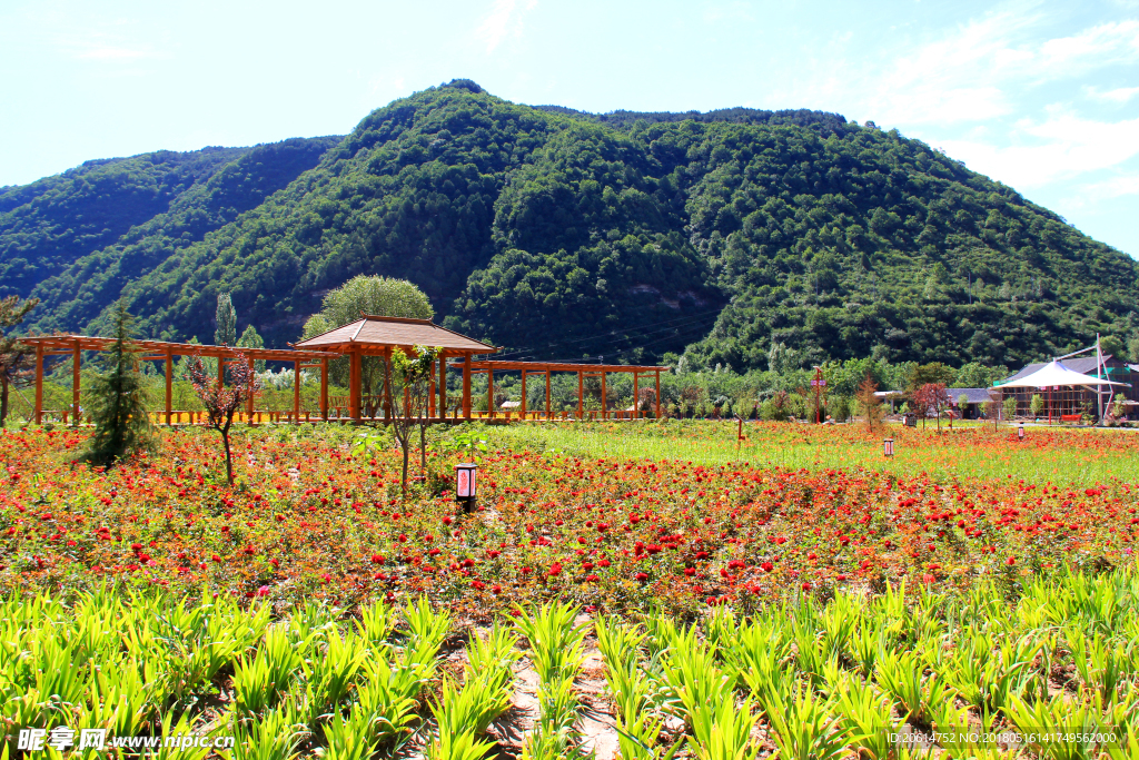 山下的公园风景