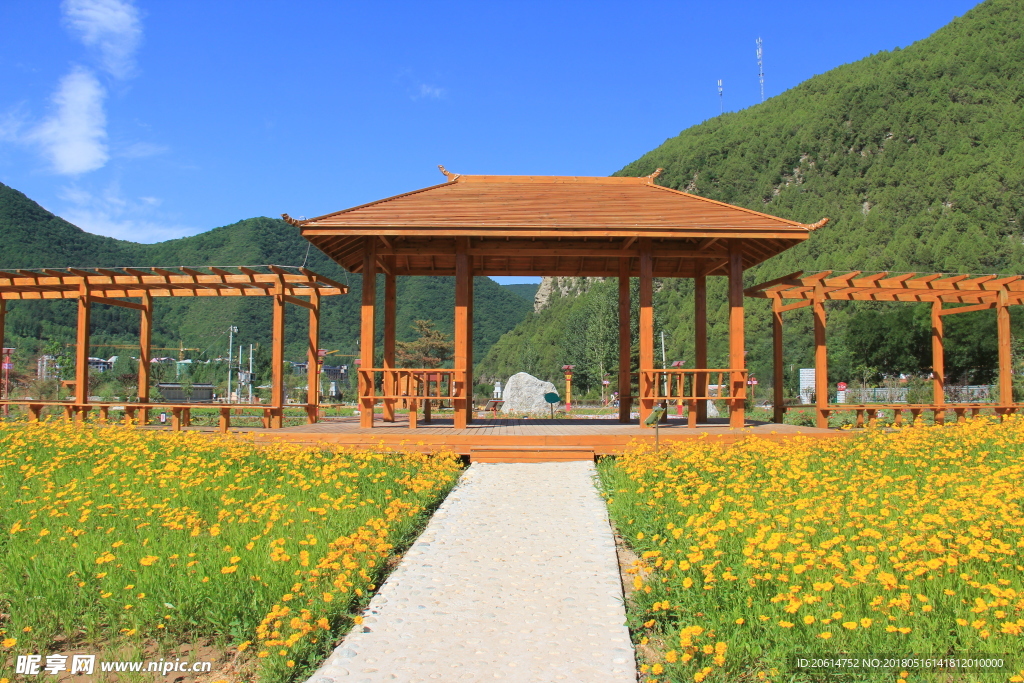 山下的公园美景
