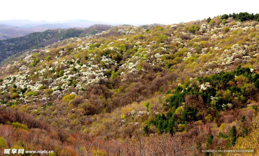 大山美景