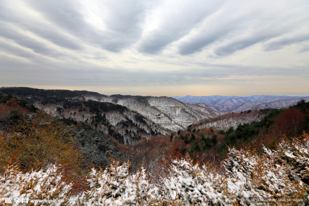 冬日里的河道风景