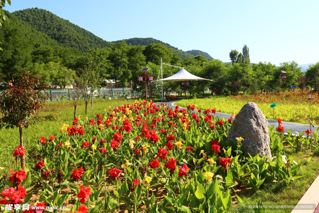 公园风景
