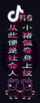 抖音标语