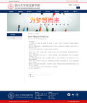 网站详情