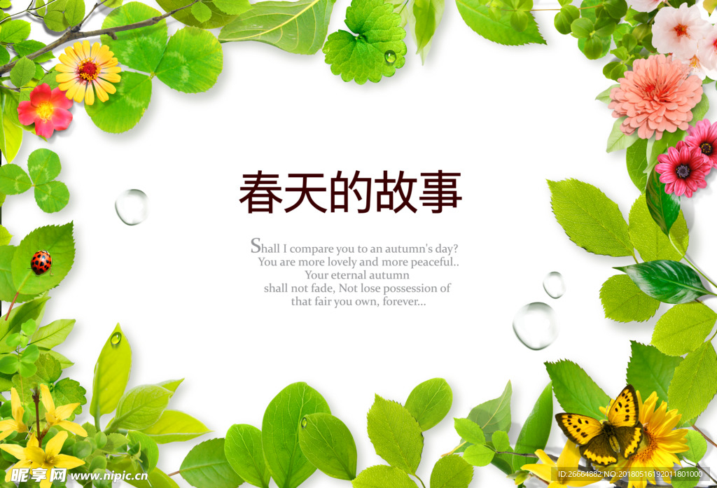 春天的故事