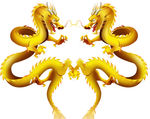 龙