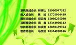绿色名片