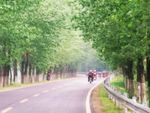 公路
