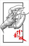矢量小龙虾