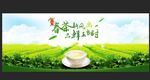 春茶品鲜