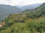 风景