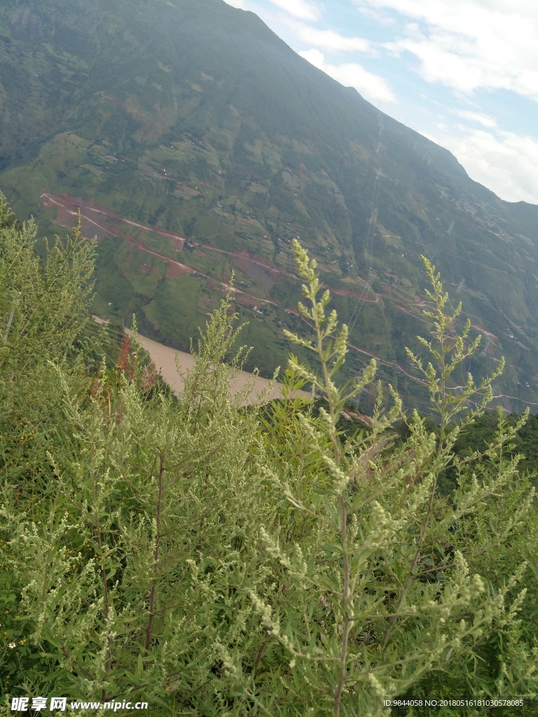 风景