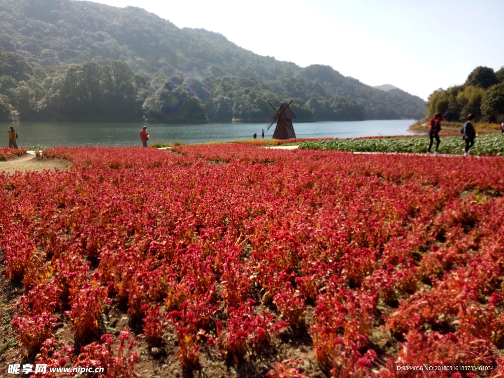 风景