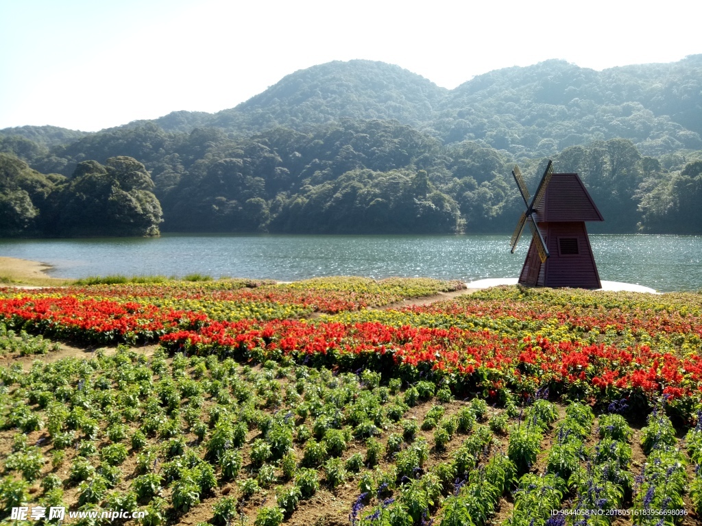 风景
