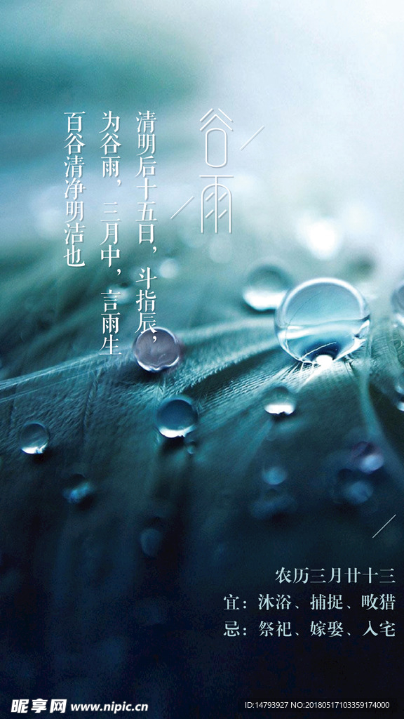 二十四 谷雨海报 谷雨节气