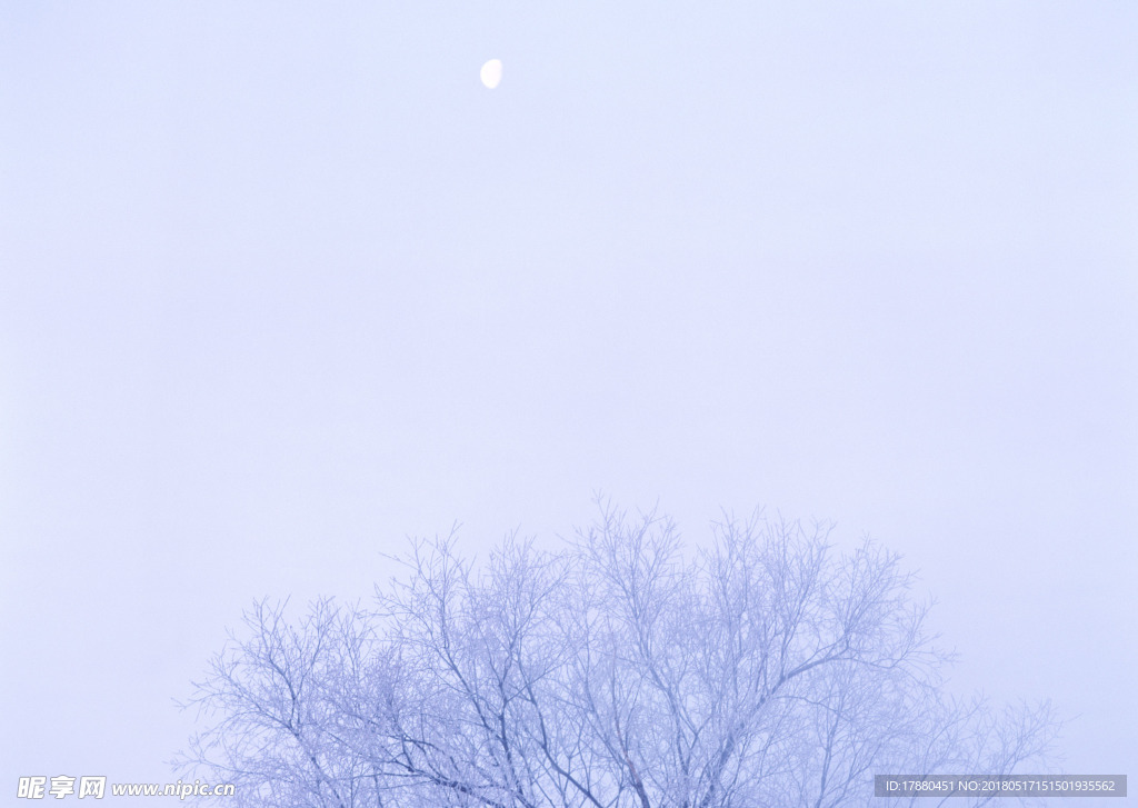 自然与风景