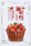 摘草莓