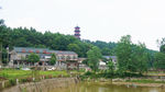 公园小景