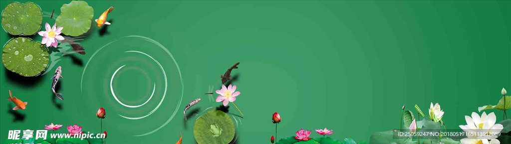 荷花