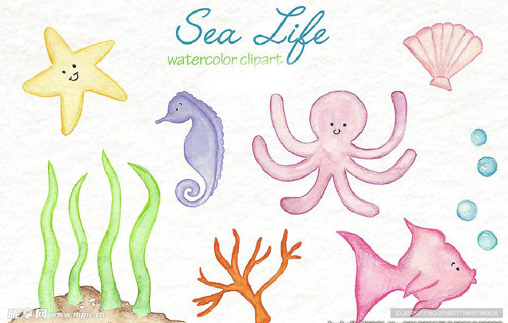 海洋生物水彩画