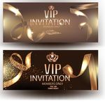 vip券