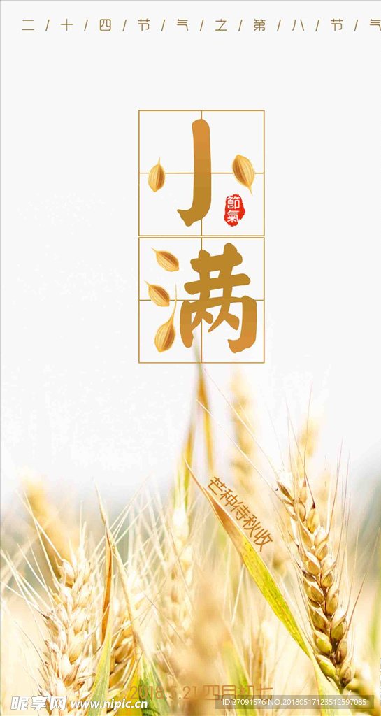 麦子小满节气海报