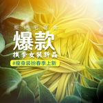 淘宝主图模版