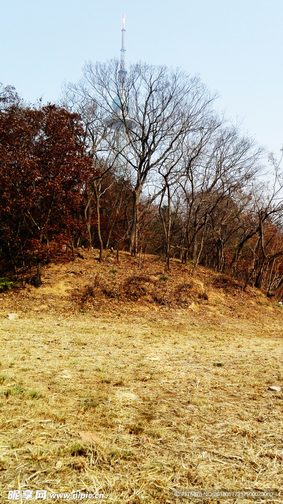 野外草地