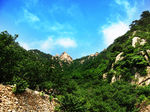 崂山