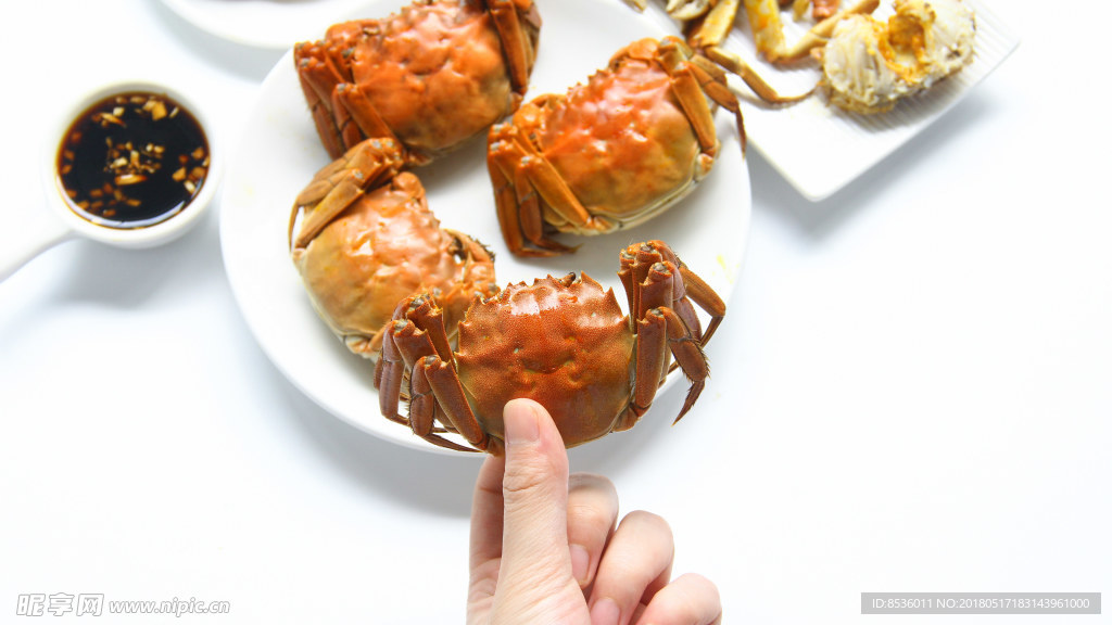 大闸蟹