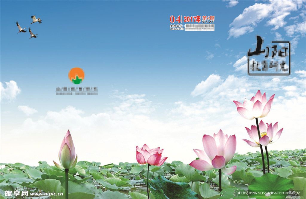 荷花封面